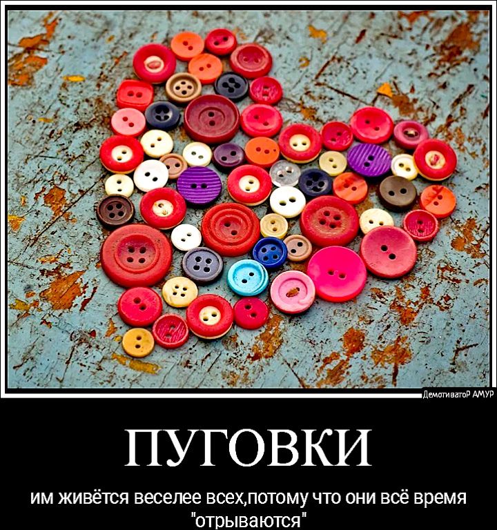 ПУГОВКИ им живется веселее всехпотому что они всё время отрываются