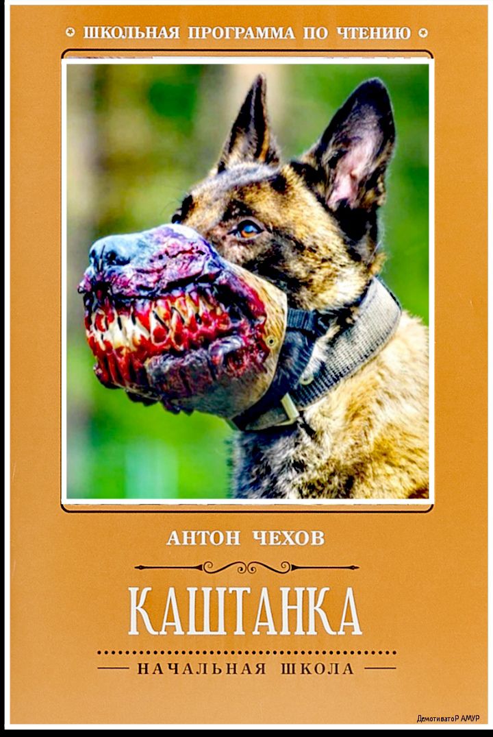 0 ЩЕЬНДАЯ ПРОГРАММА ПО ЧТЕНИЮ 0 АНТОН ЧЕХОВ КАШТАНКА __ НАЧАЛЬНАЯ ШК 01113