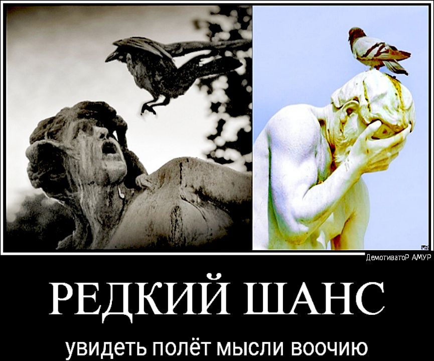 УВИДЕТЬ ПОЛёТ МЫСЛИ ВООЧИЮ