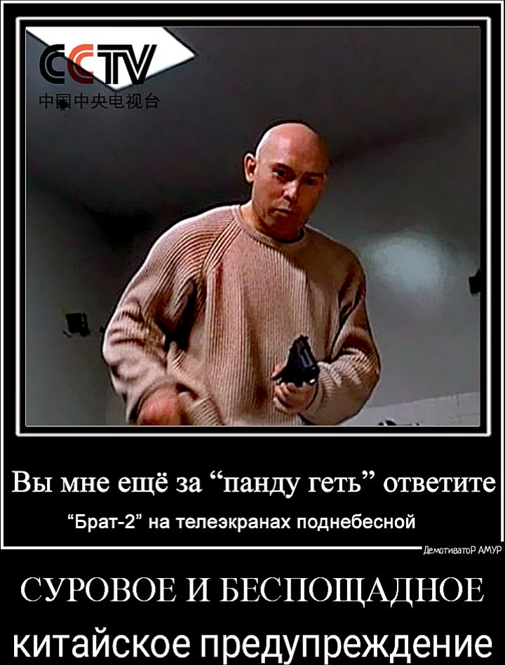 Вы мне ещё за панду геть ответите Брат 2 на телеэкранах поднебесной Викиавтор АМУР СУРОВОЕ И БЕСПОЩАДНОЕ китайское предупреждение