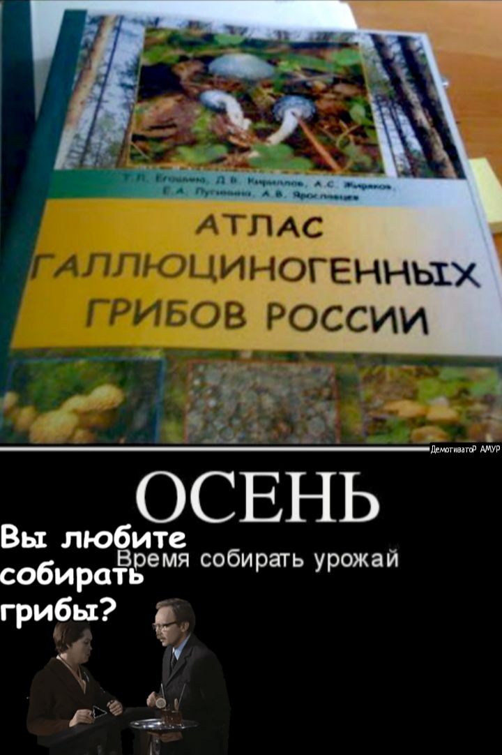 Леши ага АМУР Вы любите Время собирать урожай собирать грибы из г а