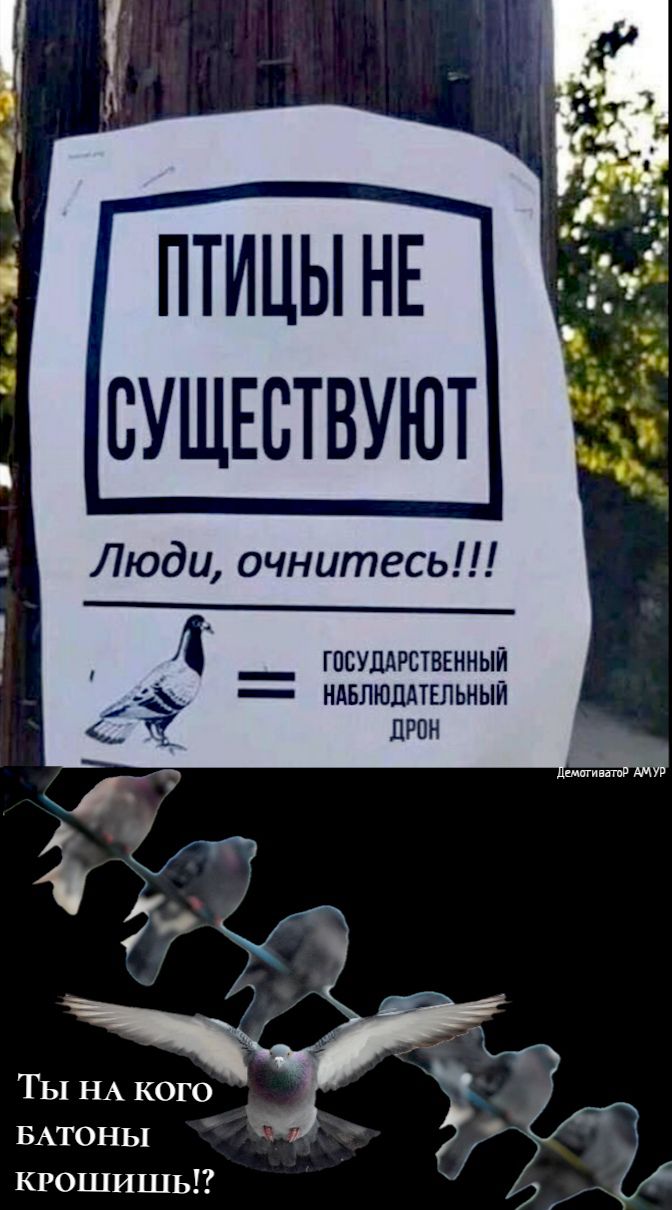 ПТИЦЫ НЕ СУЩЕСТВУЮТ Люди очнитесь 4 _ госуддрственныи ндвлюддтельныи прон ТЫ НА кого БАТОНЬ1 КРОШИШЫ 6 66