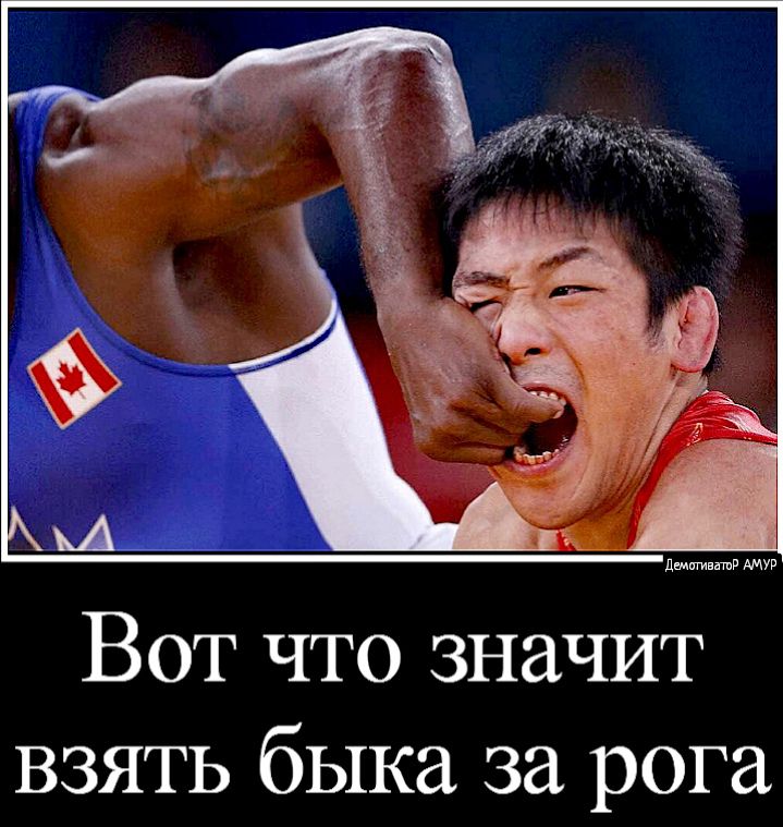Вот что значит взять быка за рога