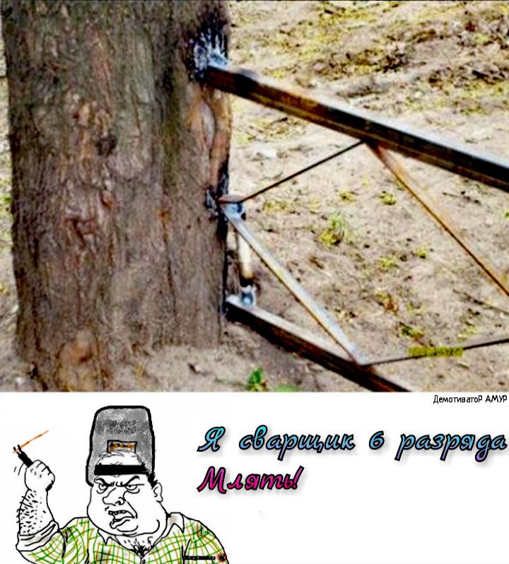 дтпгиптд АМУБ