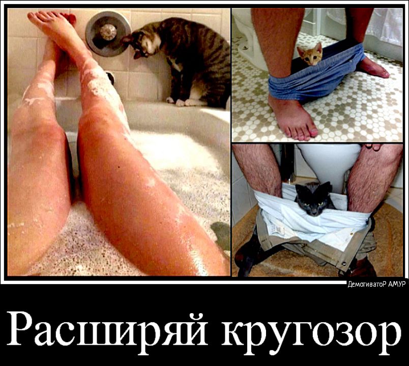 Расширяй кругозор