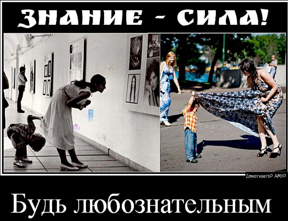 ЗНАНИЕ сиди Будь любознательным