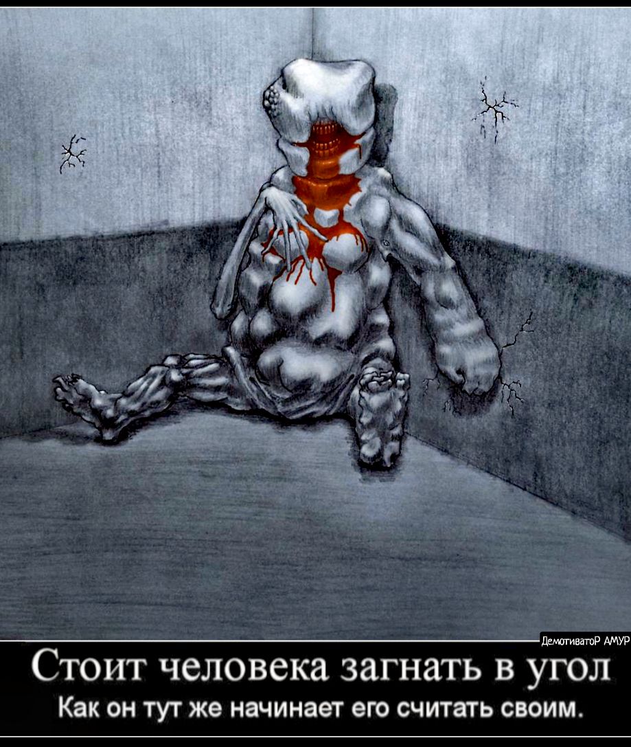 иватоР АМУР Стоит человека загнать в угол Как ОН ТУТ же НЭЧИНЗЭТ его считать СВОИМ