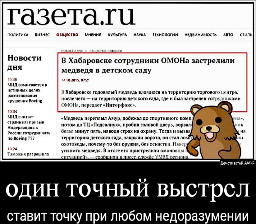 Австралиискийпудепь40ри стал интернет сенсацией из засвоейчеловеческой морды