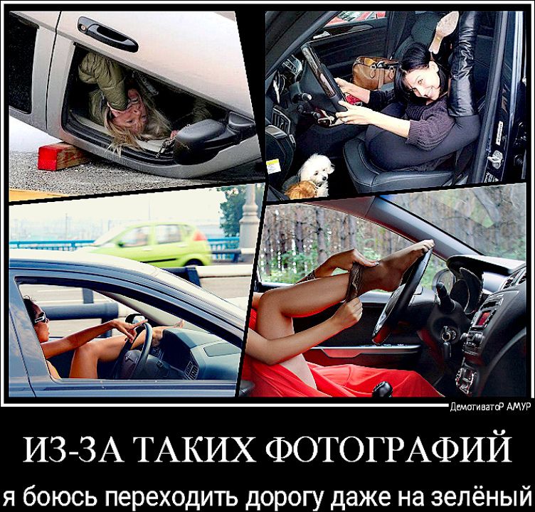 д шшшшш АМУР ИЗЗА ТАКИХ ФОТОГРАФИЙ я боюсь переходить дорогу даже на зелёный