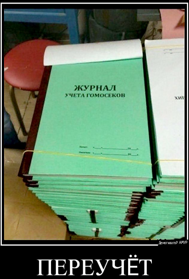 ЖУРНАЛ у пггл гомоснков