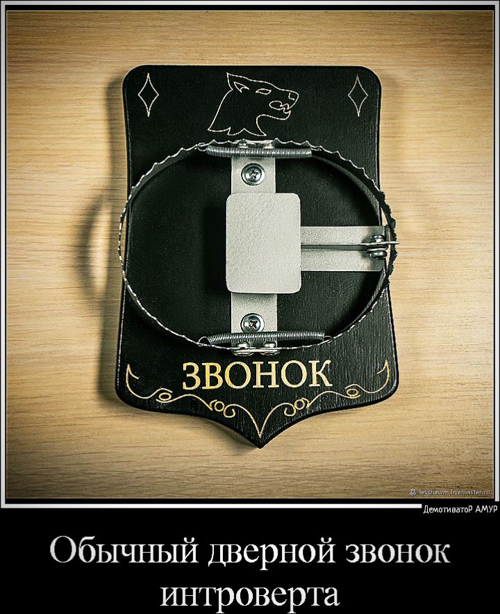 Обычный Дверной звонок интроверта