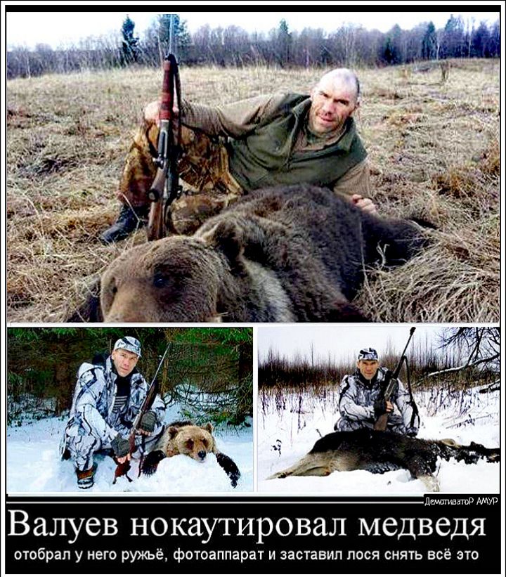 дщпшаюв АМУР Валуев нокаутировал медведя отобрал у него ружьё фотоаппарат и заставил лося снять всё это