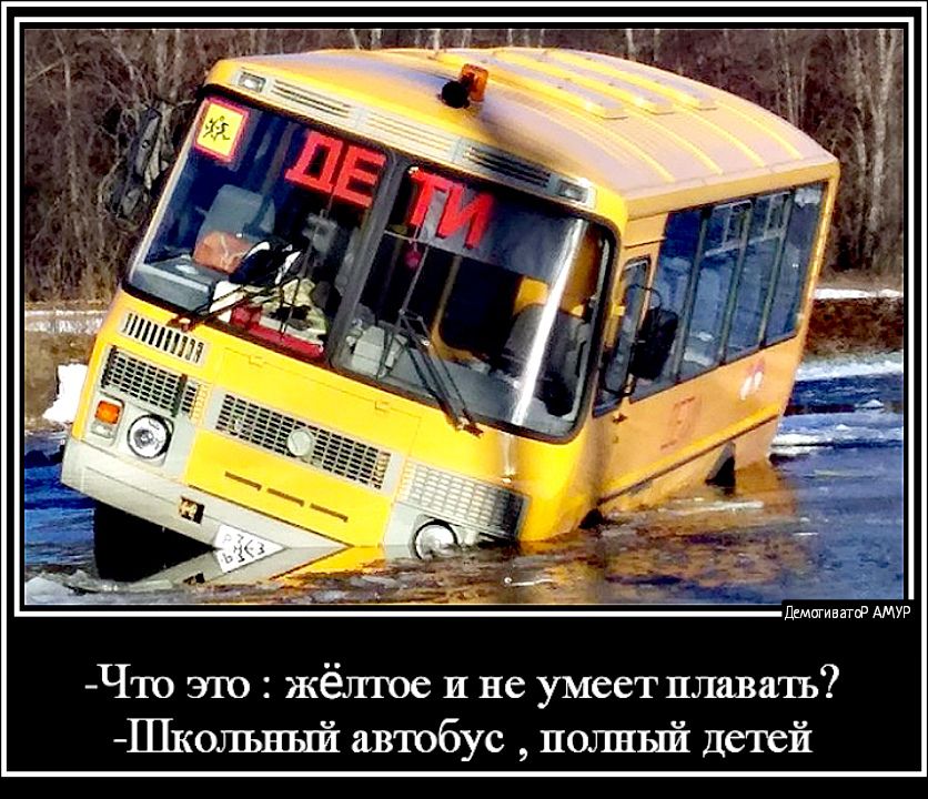 пдмпгивнгт АМУР Что это жёлтое и не умеет плавать Школьный автобус полный детей
