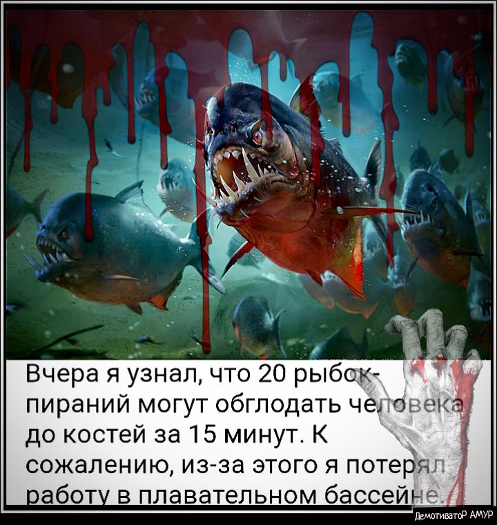 Вчера я узнал что 20 рыбок пираний могут обглодать человека до костей за 15 минут К сожалению из за этого я потерял абот в плавательном бассейна шмотиватод АМУР