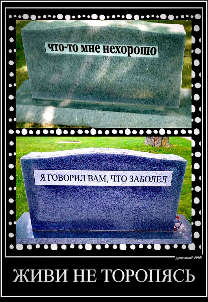 ЖИВИ НЕ ТОРОПЯСЬ