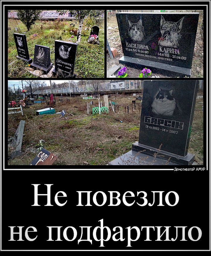 АМУР Не повезло не подфартило