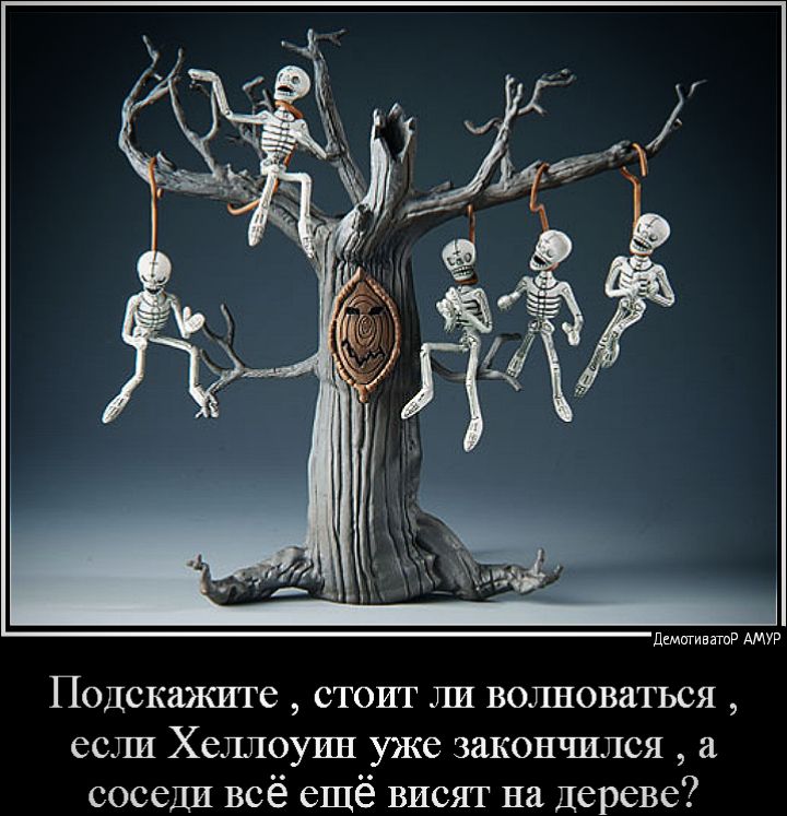 дщщивяшР АМУР Подскажите стоит ли волноваться если Хеллоуин уже закончился а соседи всё ещё висят на дереве