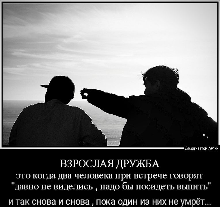 Дилшивнтр АМУР ВЗРОСЛАЯ ДРУЖБА это когда два человека при встрече говорят давно не виделись надо бы посидеть выпить И так снова И снова ПОКЭ ОДИН ИЗ НИХ не УМРёТ