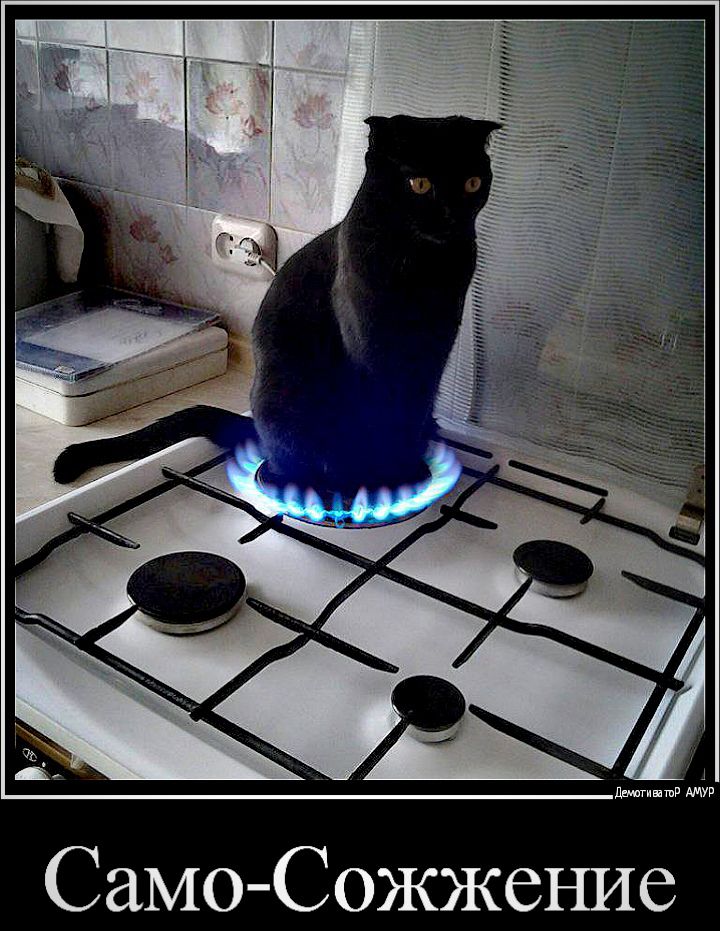 СамоСожжение