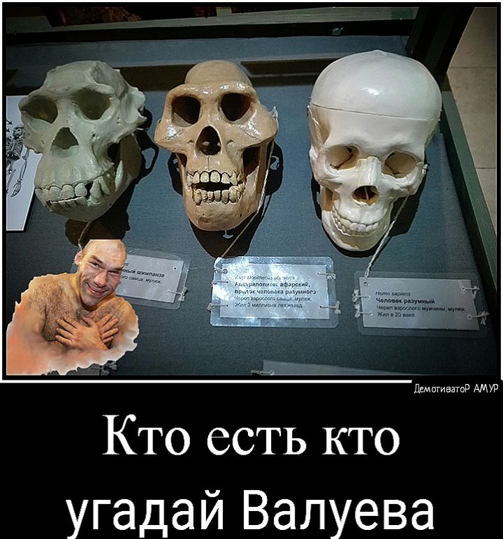 ЩИЕЯГБР АМУР Кто есть кто угадай Валуева