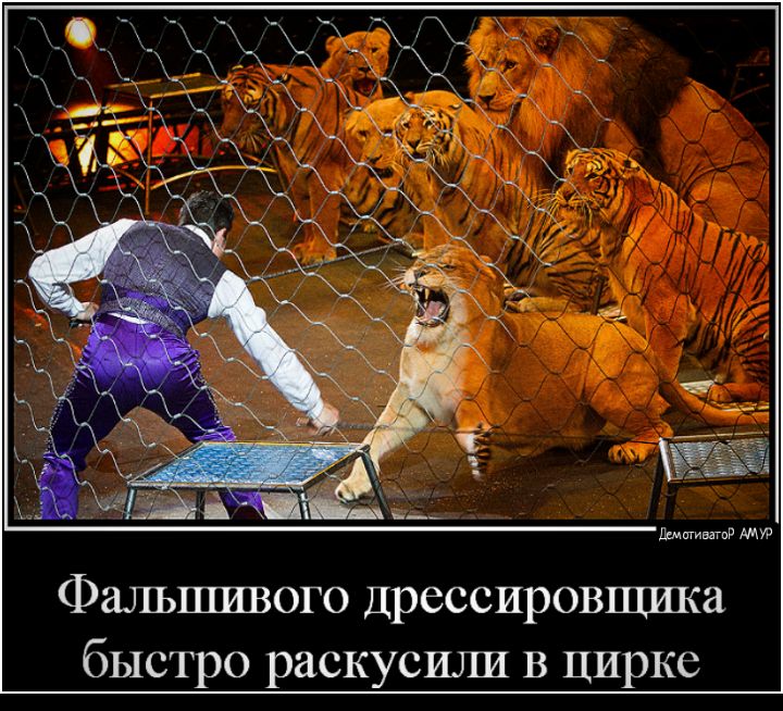 дттивагпР Фальшивого дрессировщика быстро раскусили в цирке