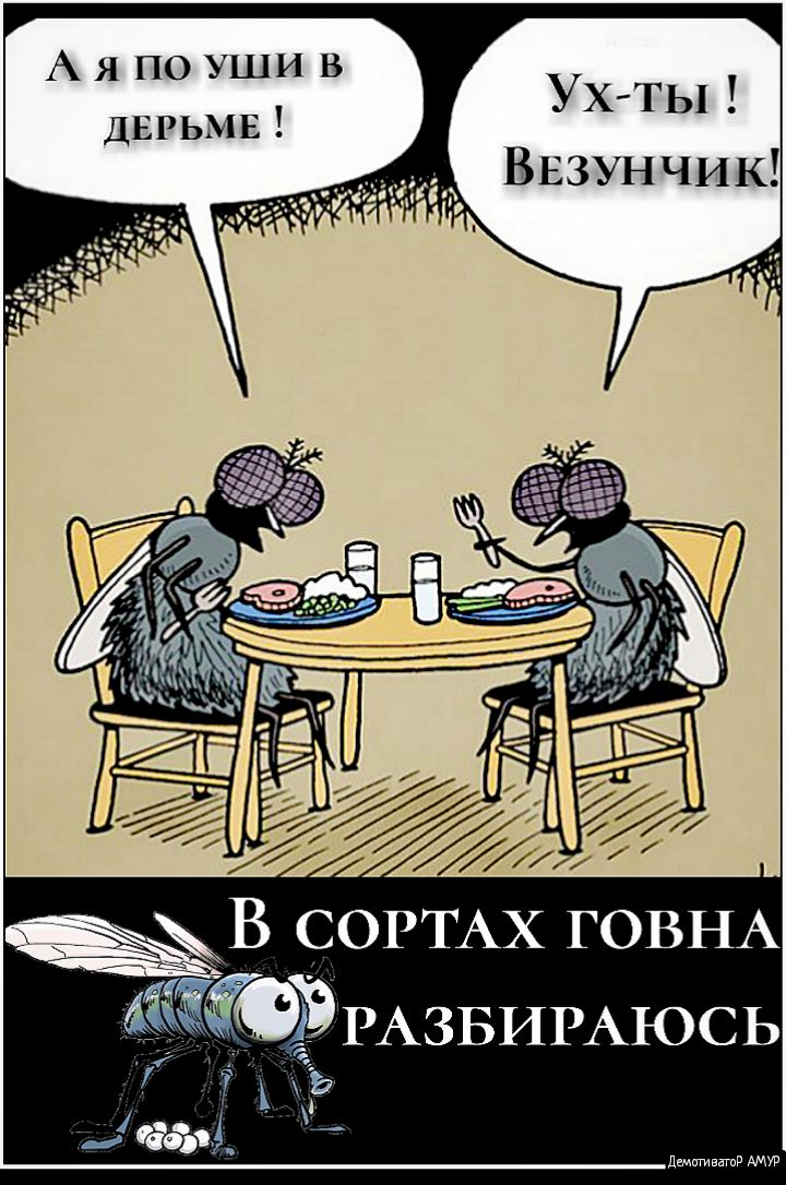 Аяпо уши в ДЕРЬМЕ УХТЫ Внзунчик ЁЁ Ё В СОРТАХ ГОВНА АЖЁОЁРАЗБИРАЮСЬ Ь ддэі