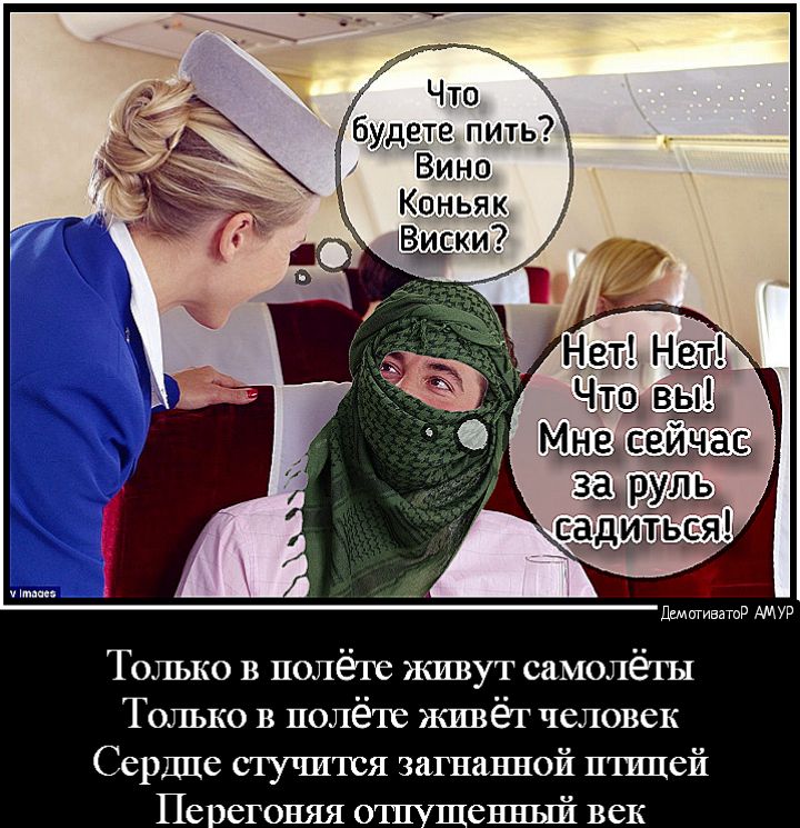 дщигиватид АМУР Только в полёте живут самолёты Только в полёте живёт человек Сердце стучится загнанной птицей Пе егоняя о енный век