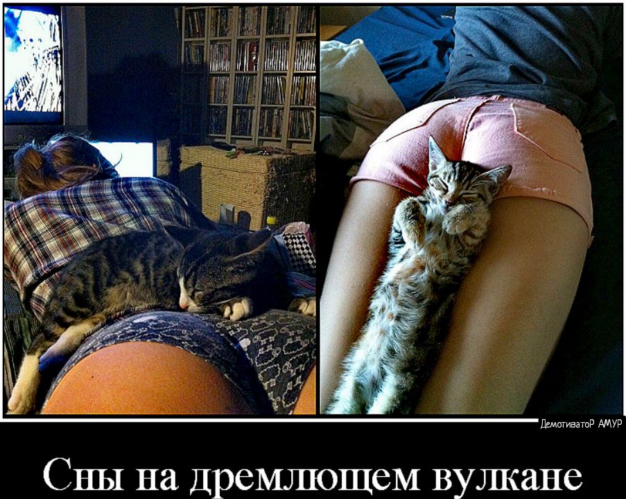 ПДШГИЕЭТПР АМУР СНЫ на Дремлющем вулкане