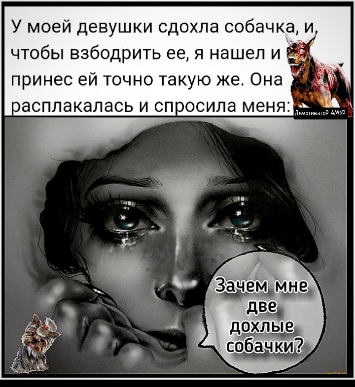 У моей девушки сдохла собачкёи чтобы взбодрить ее я нашел и принес ей точно такую же Она асплакалась и сп осила меня дшщиватв АМУР гк ачЁьгёмне далью собачки т