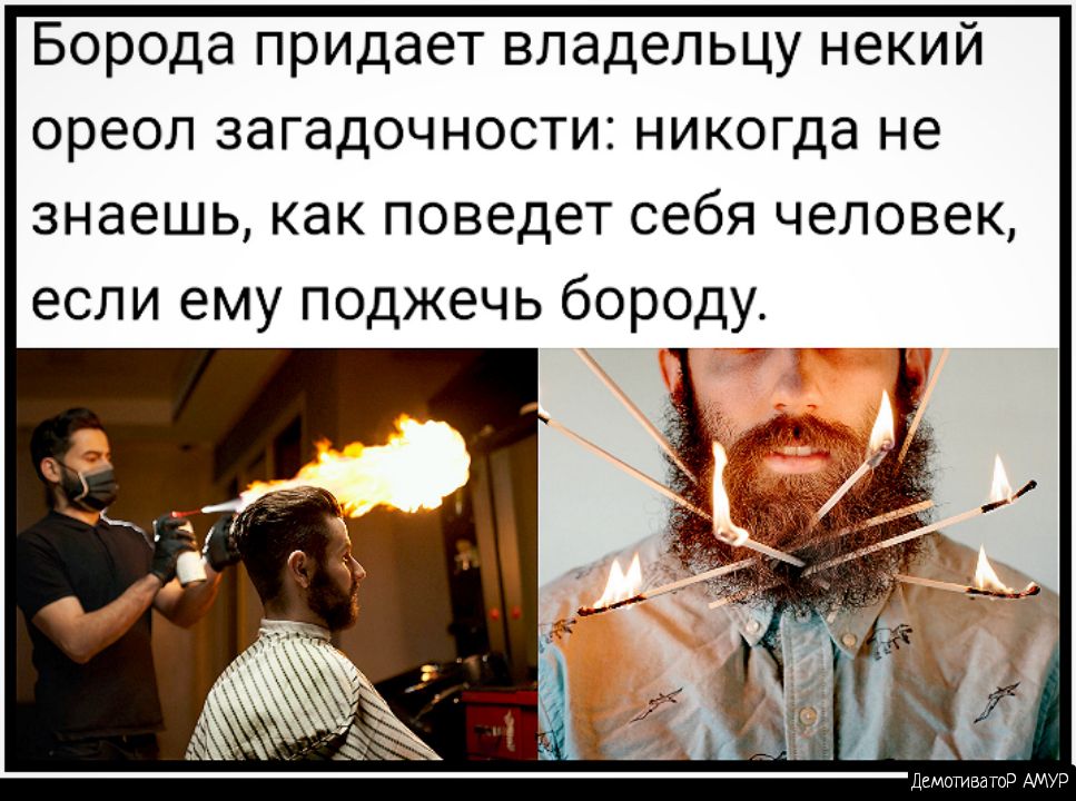 Борода придает владельцу некий ореол загадочности никогда не знаешь как поведет себя человек если ему поджечь бороду А 5 Дгмотватвр АМУР
