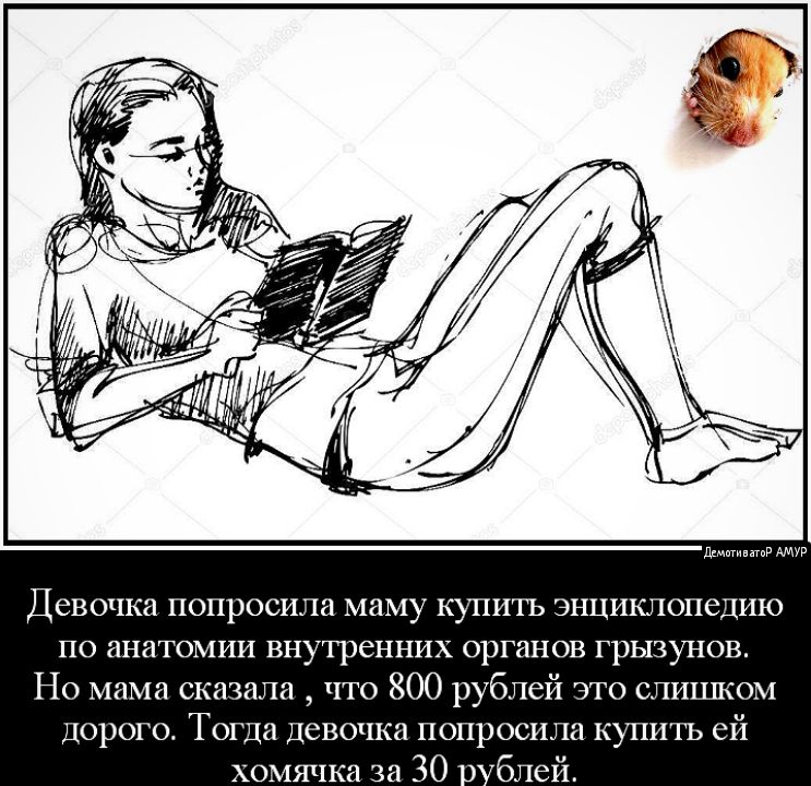 дгматмпр Девочка попросила маму купить энциклопедию по анатомии внутренних органов грызунов Но мама сказала что 800 рублей это слишком Дорого Тогда девочка попросила купить ей хомячка за 30 блей