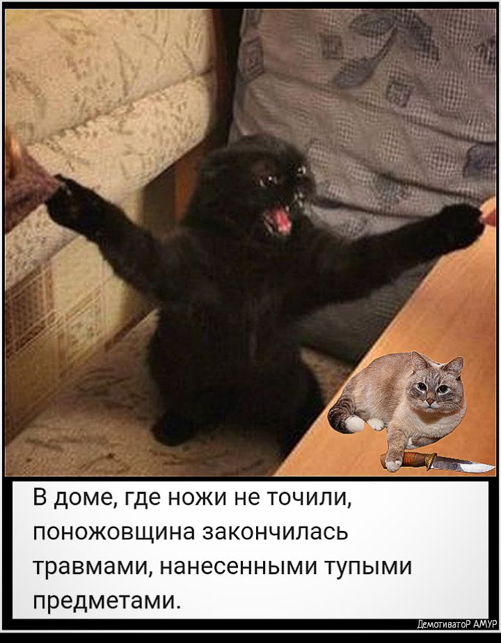 В доме где НОЖИ не ТОЧИЛИ ПОНОЖОВЩИНЗ закончилась травмами НдНЕСЭННЫМИ ТУПЫМИ ПРЭДМЭТЭМИ ШмпгивнгцР АМУР
