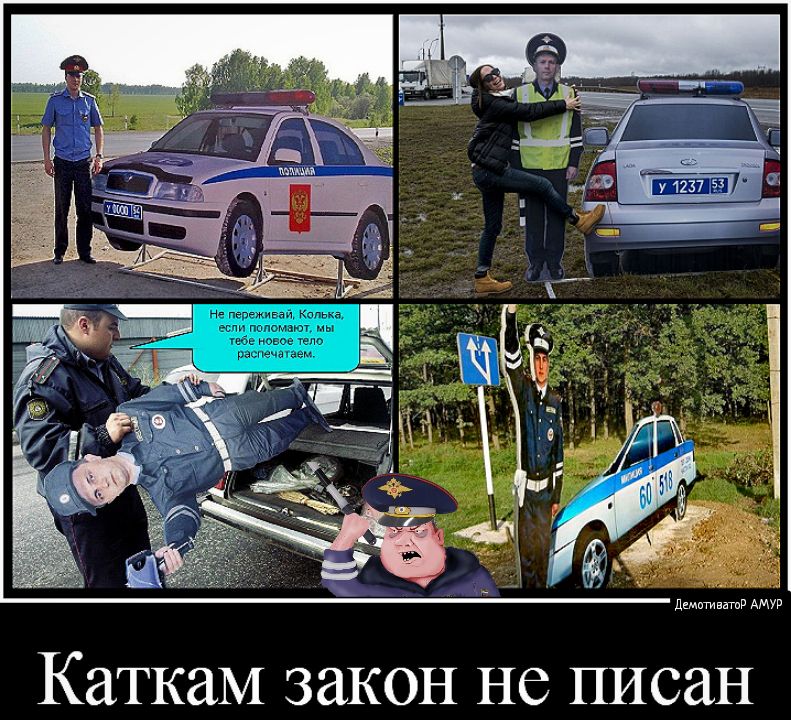 дщтивнтд АМУР КЗТКЗМ ЗЗКОН НС ПИСЗН