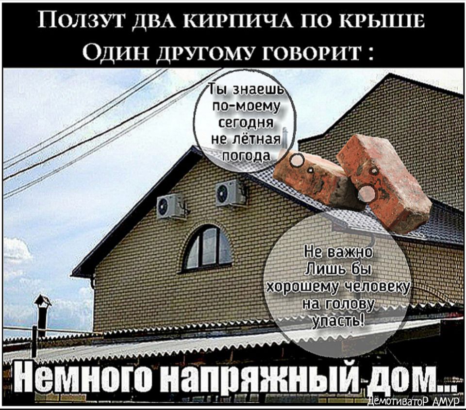 Ползут ДВА КИРПИЧА по крыши Один ДРУГОМУ говорит Ты знаешь пив моему сегодня _ не Лётная Немного напияжныц