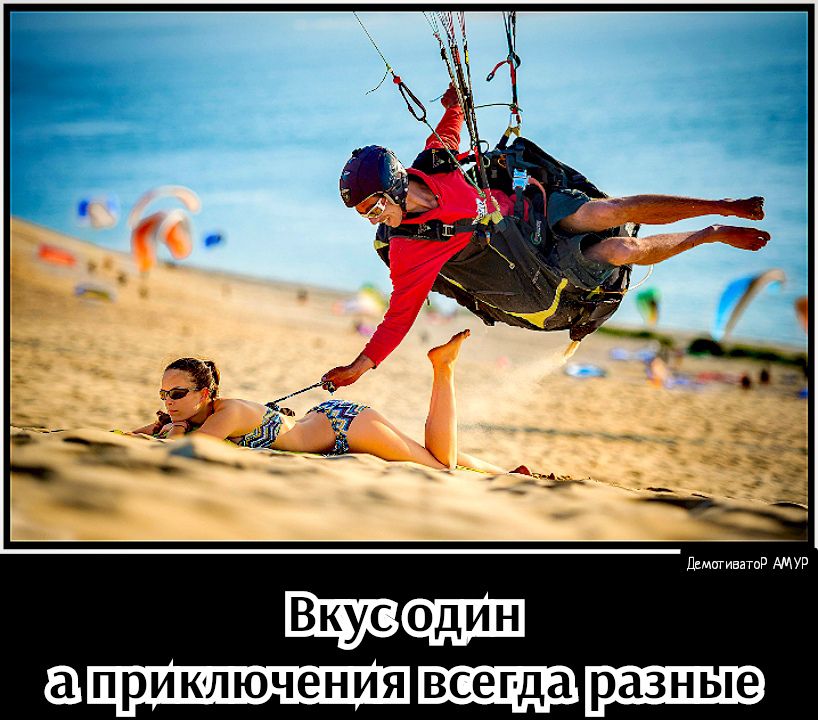 ани_