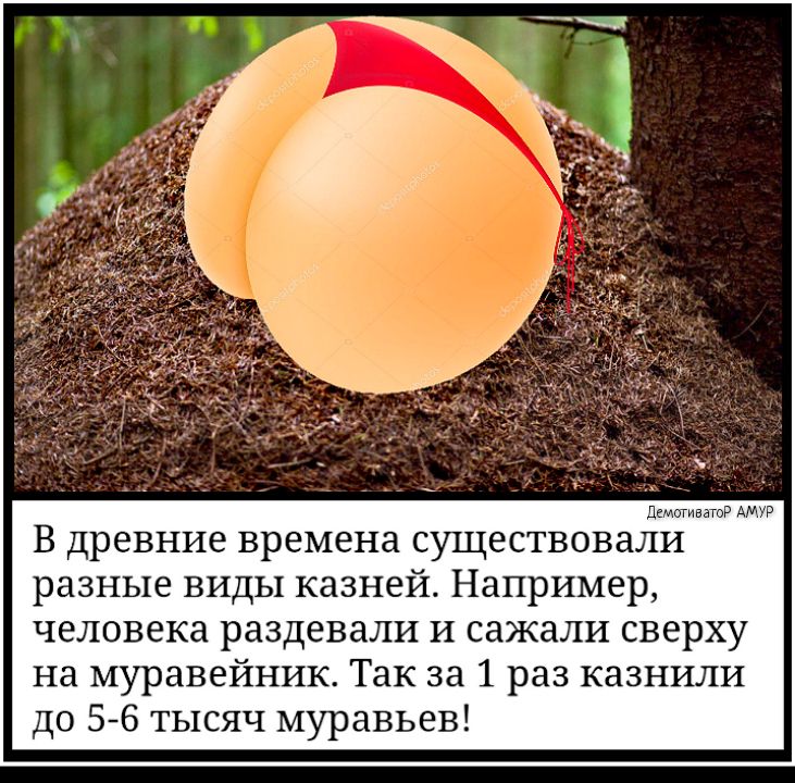 В древние времена существоваЁИ разные виды казней Например человека раздевали И сажали сверху на муравейник Так за 1 раз казнили до 56 тысяч муравьев
