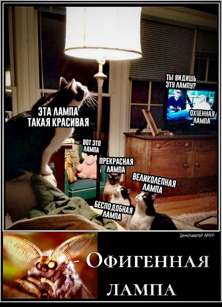 Ц А д і ЗТА МММ шпиля тшякмсивдя мм шмот ваши ЁЗОФИГЕННАЯ ЛАМПА