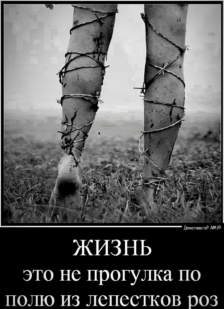ЭТО НС прогулка ПО ПОШО ИЗ ЛСПССТКОВ ЭОЗ