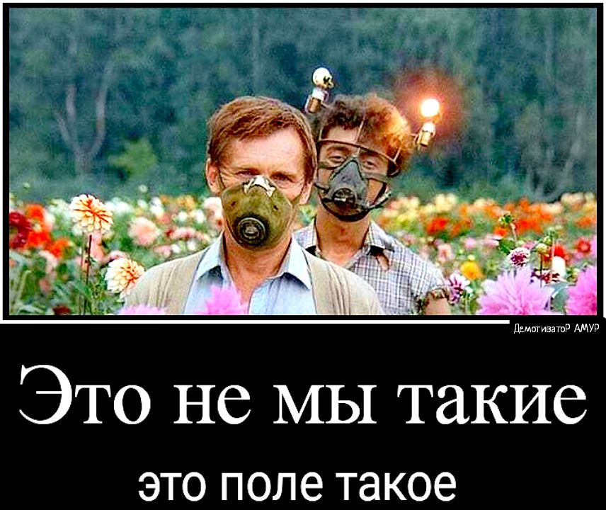 д ммммм ШР АМУР Это не МЫ такие ЭТО ПОЛЭ такое