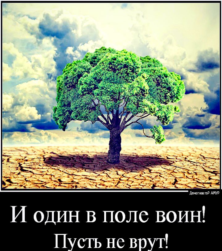 И ОДИН В поле воин П сть не во