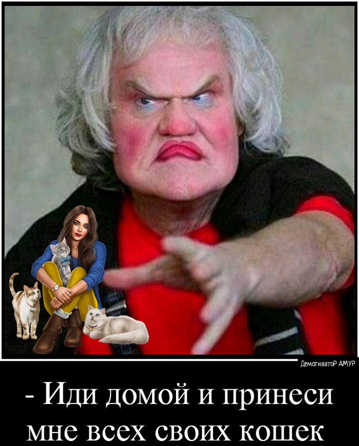 демпгиватд АМУР Иди ДОМОЙ И принеси мне всех своих кошек