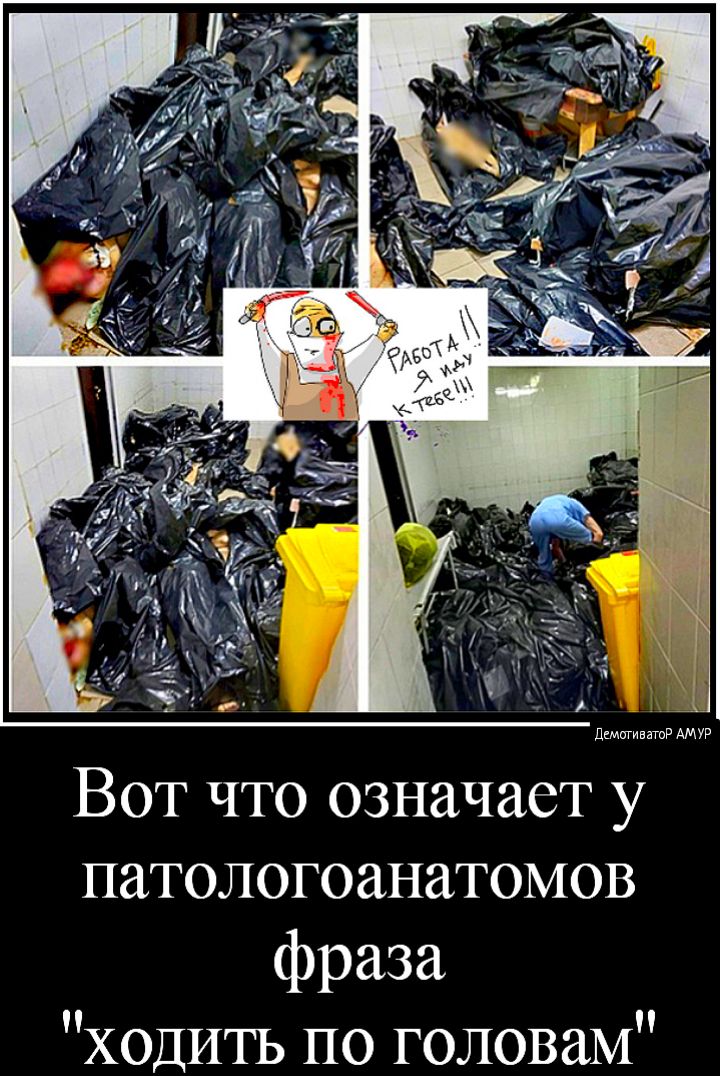 дщщивтР АМУР Вот что означает у патологоанатомов фраза ХОДИТЬ по головам