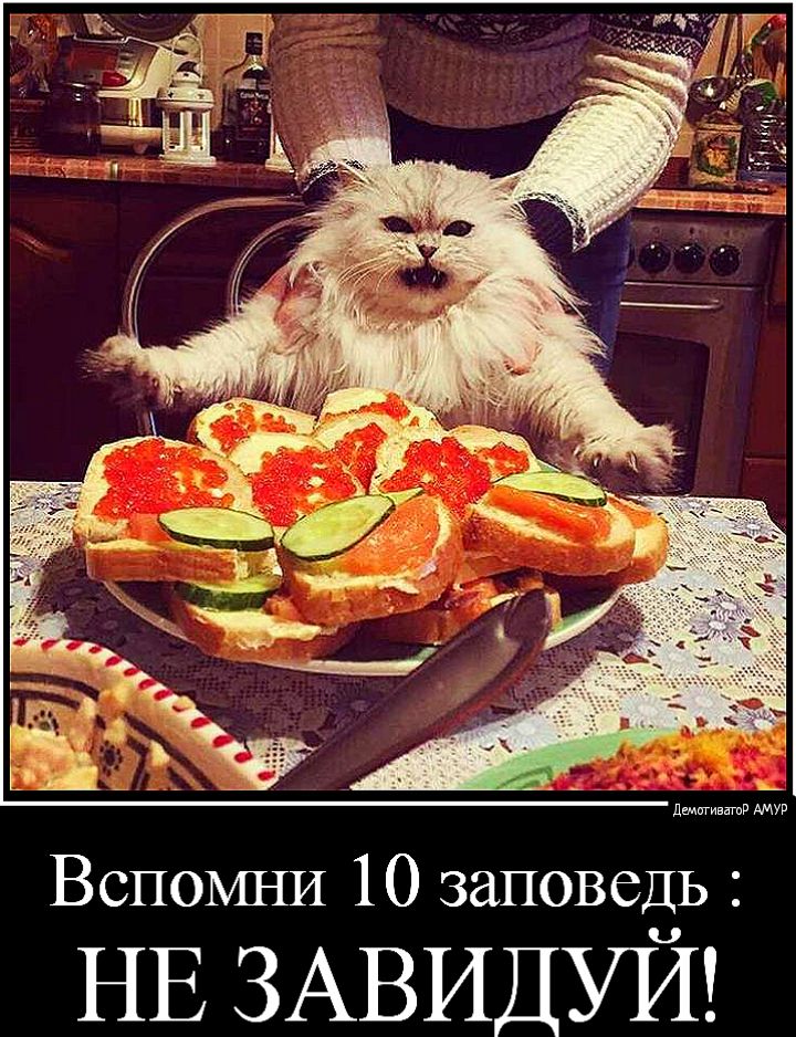 Вспомни 10 заповедь НЕЗАВИДУЙ