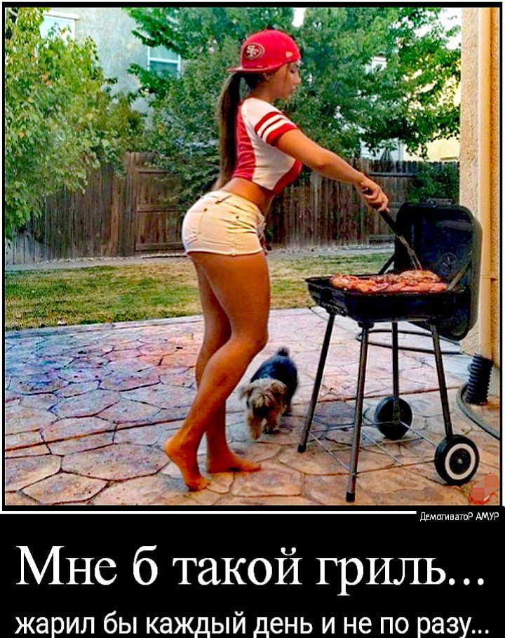 ДмигиватнР АМУР Мне 6 такой гриль жарил бы каждый день и не по разу