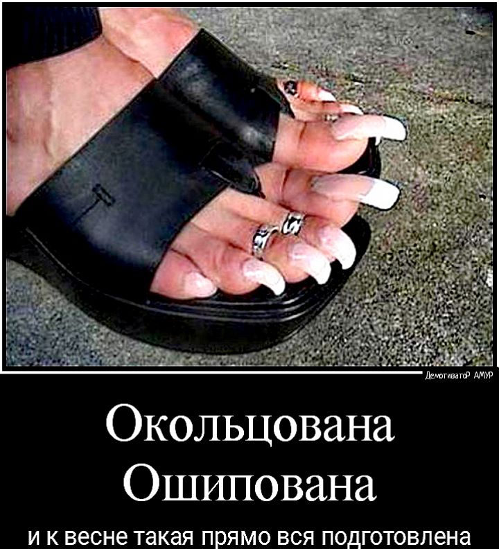 Окольцована Ошипована И К весне Такая прямо ВСЯ подготовлена