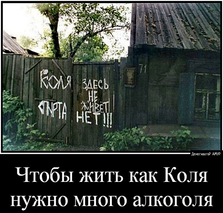 ддгивдгф АМУР Чтобы ЖИТЬ как Коля нужно много алкоголя