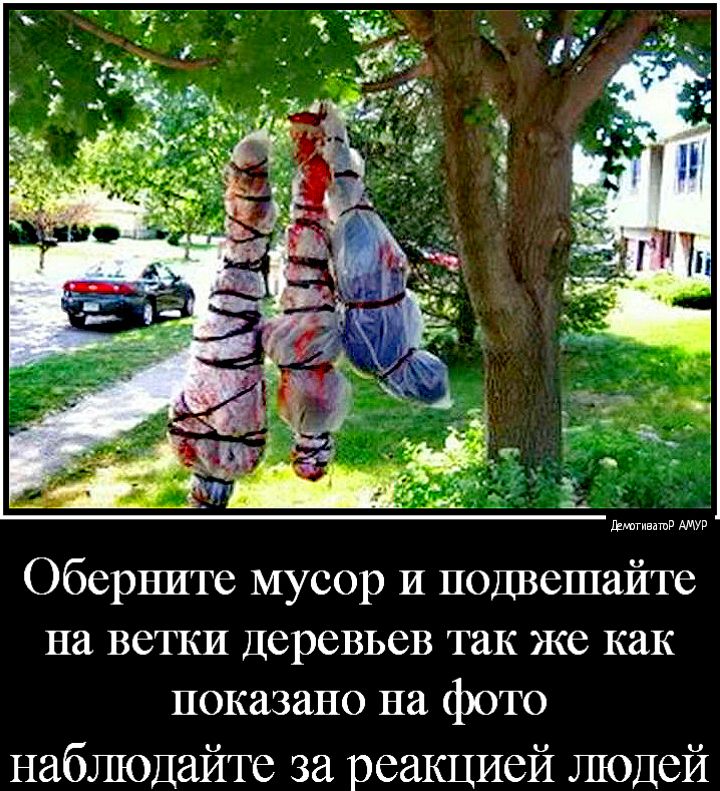 штивашв Оберните мусор И подвешайте на ветки Деревьев так же как показано на фото наблюдайте за реакцией людей