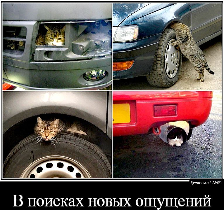 В ПОИСКЗХ НОВЫХ ОЩУЩСНИЙ