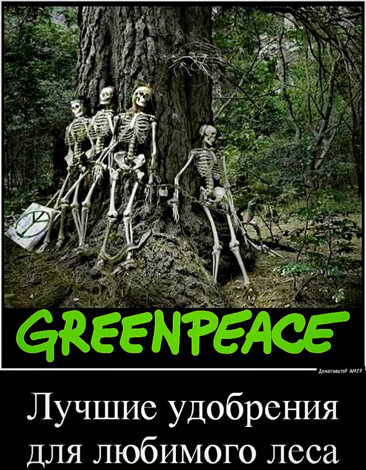 ёіеемггдсё дииинпвд Лучшие удобрения ДЛЯ любимого леса
