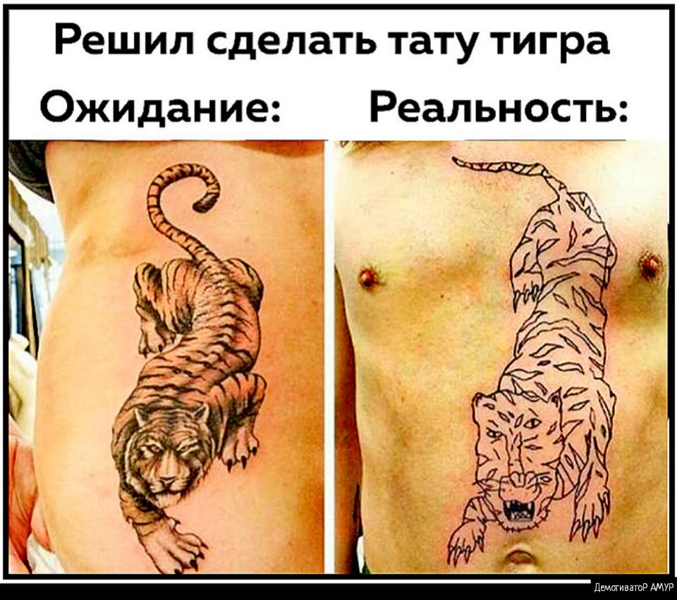 Решил сделать тату тигра Ожидание Реальность